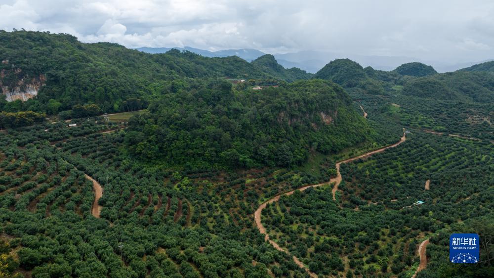 永利打鱼平台